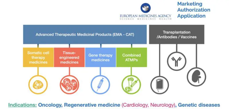EMA’s New Wave: Transforming Human Medicinal Manufacturing